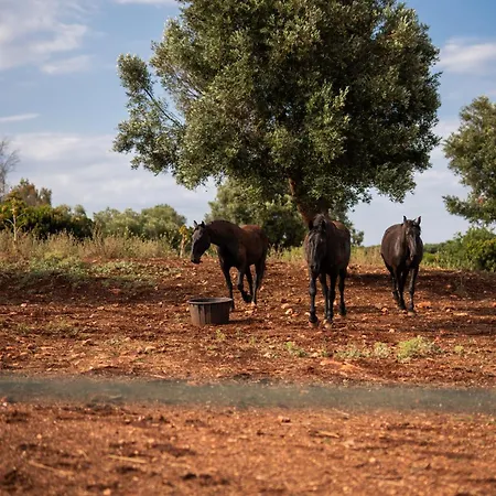 Masseria Santo Scalone 4*