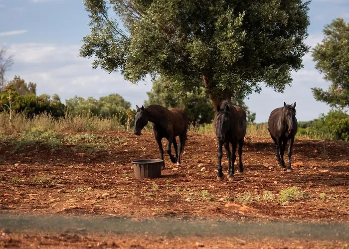 Masseria Santo Scalone 4*